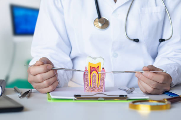 Best 24-Hour Emergency Dental Care in Sylvan Lake, MI
